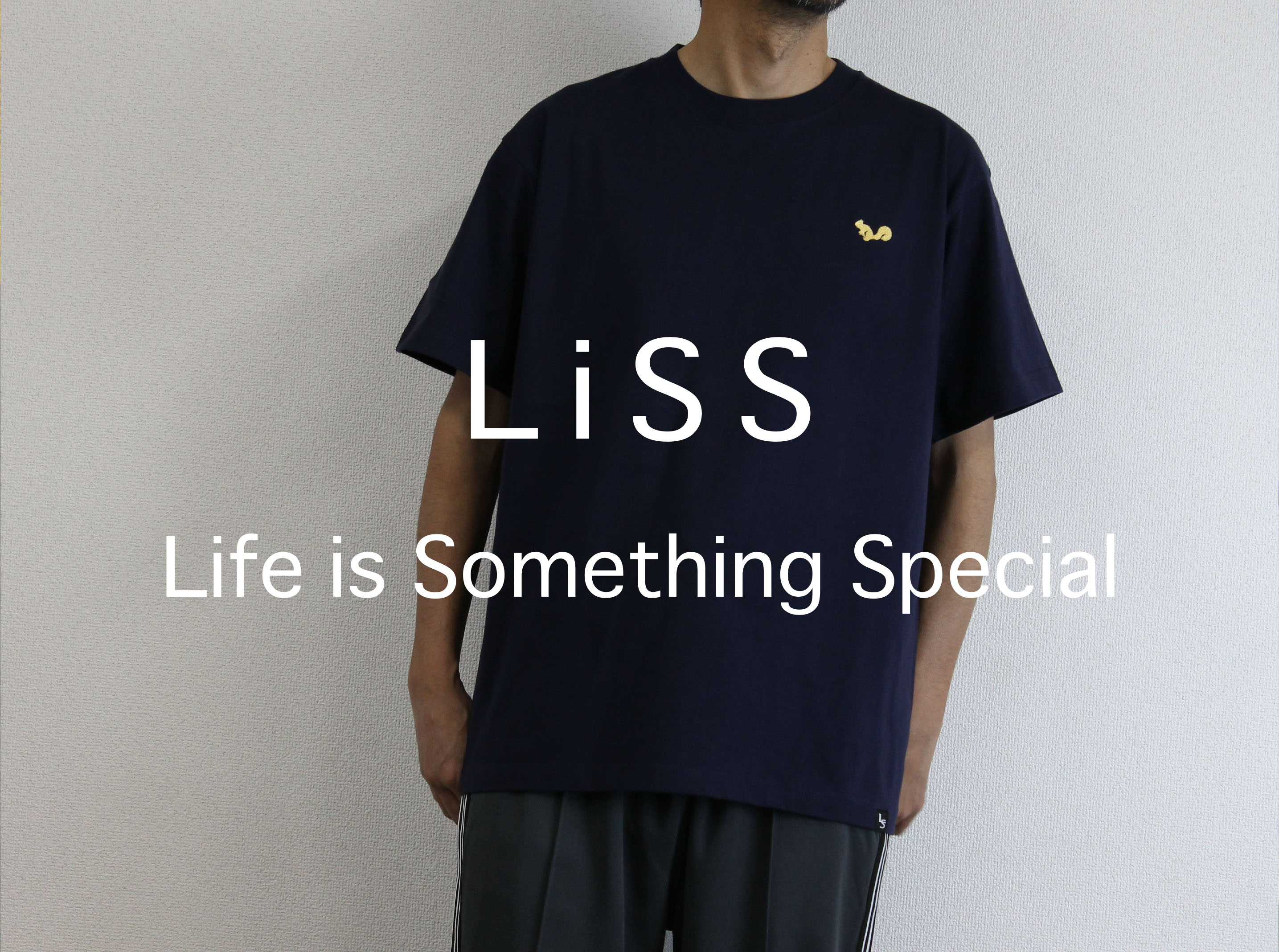 LISS PRODUCTS